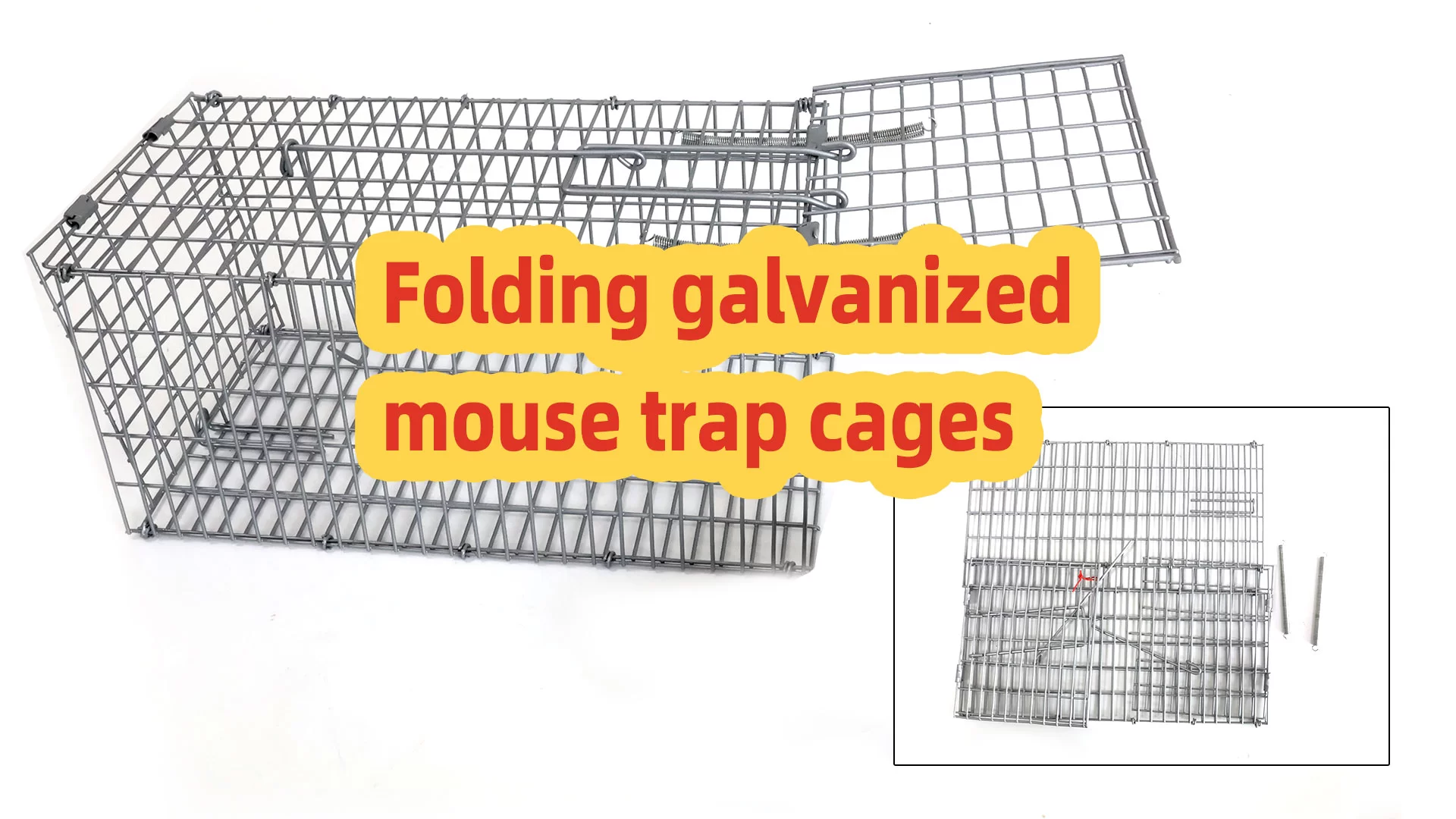 Guia de configuração de armadilha de rato galvanizada dobrável: tutorial de gaiola durável e reutilizável