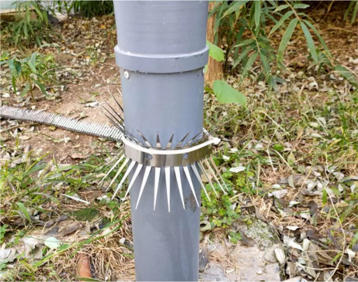 Spikes anti-mouse: barreiras físicas para a prevenção eco-consciente